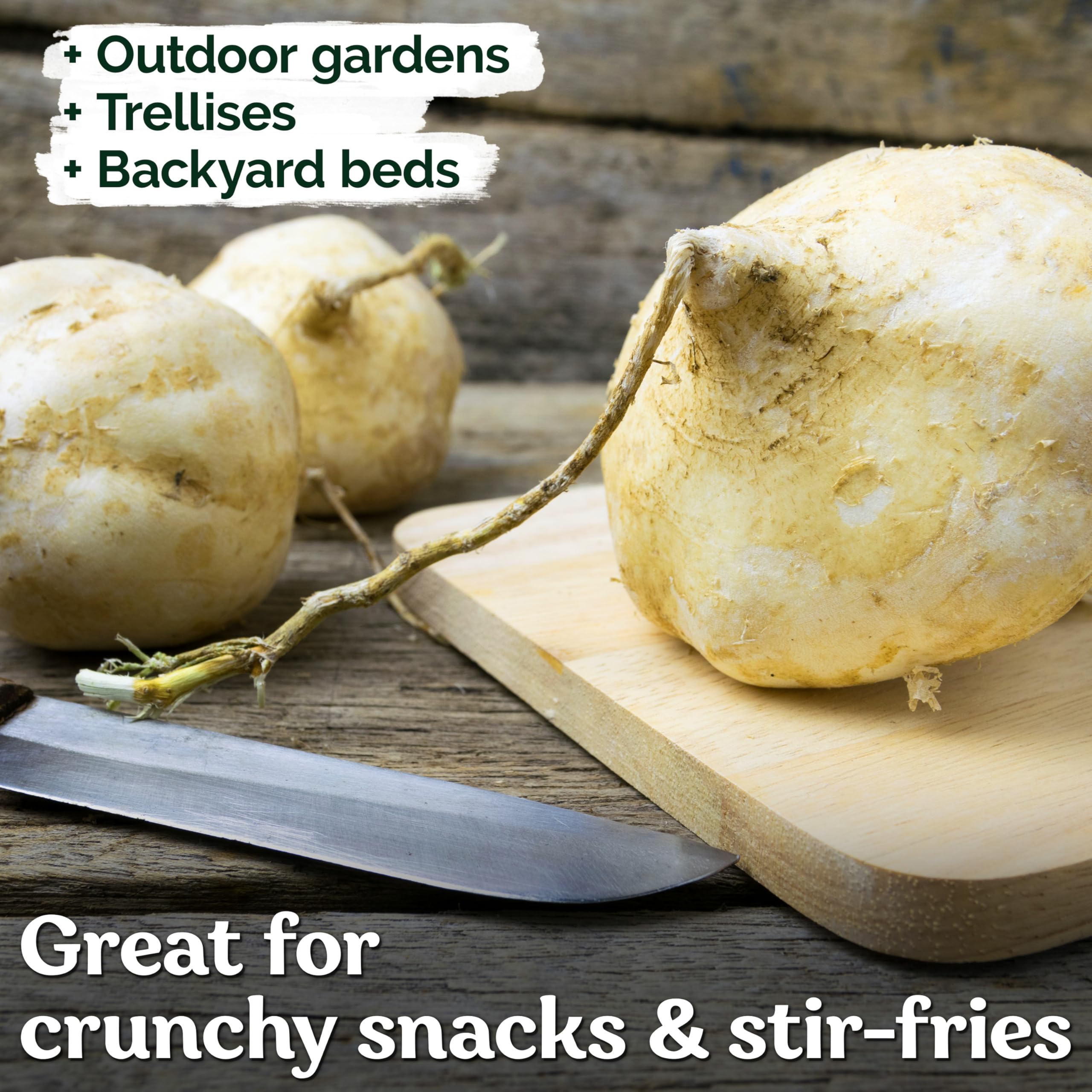 1,131 Imágenes De Pachyrhizus Erosus - Imágenes, Fotos Y Vectores De