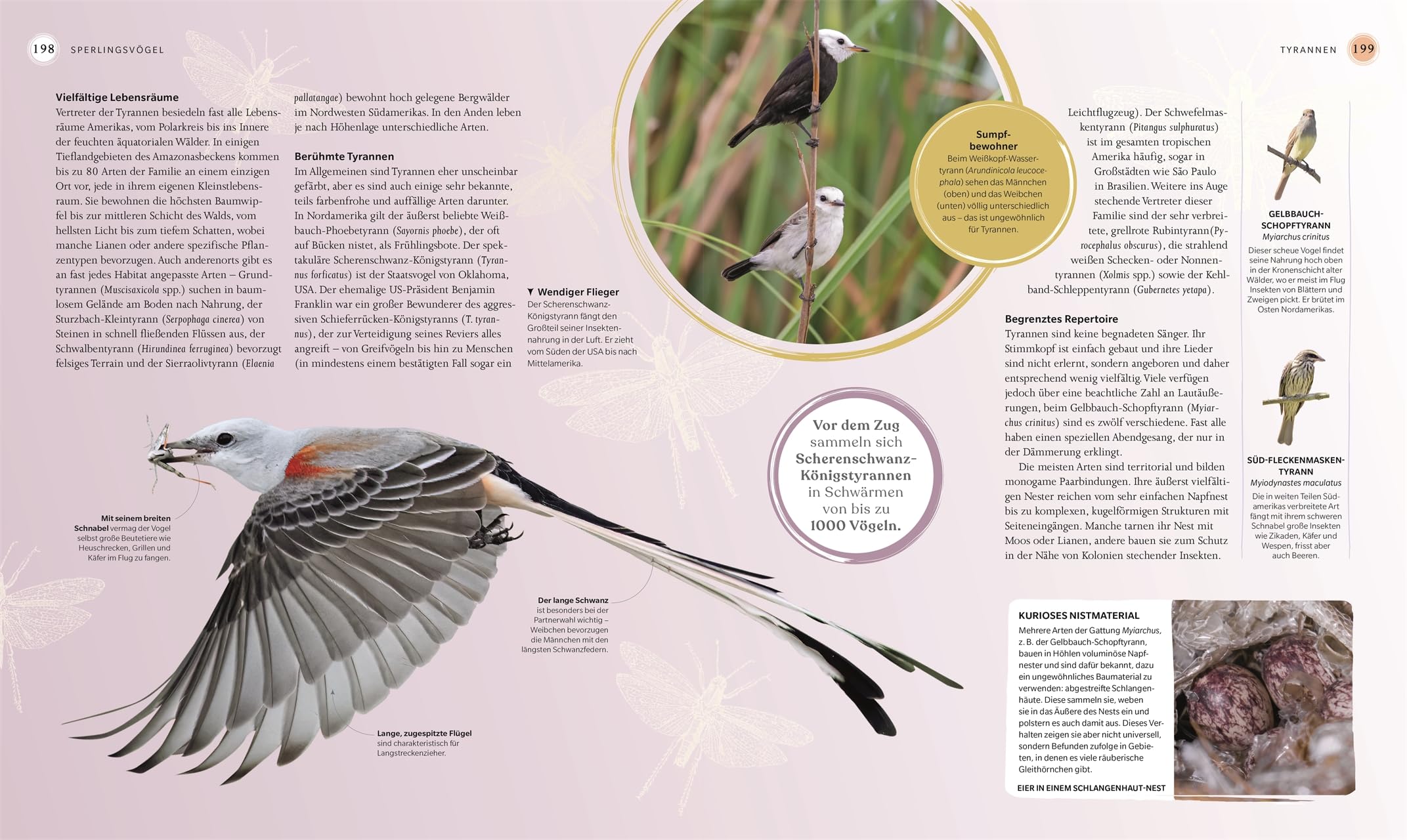 Vögel - Eine Natur- und Kulturgeschichte: Über 100 Vögel aus aller Welt in ausführlichen Porträts. Spannende Fakten, brillante Fotos und Illustrationen (DK Faszinierende Welt)