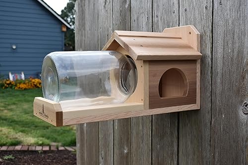 Miniatura 3 de Squirrel Feeder Garden Artworks Squirrel Jar Feeder with One Gallon Glass Jar. Keep Your Squirrels Happy!