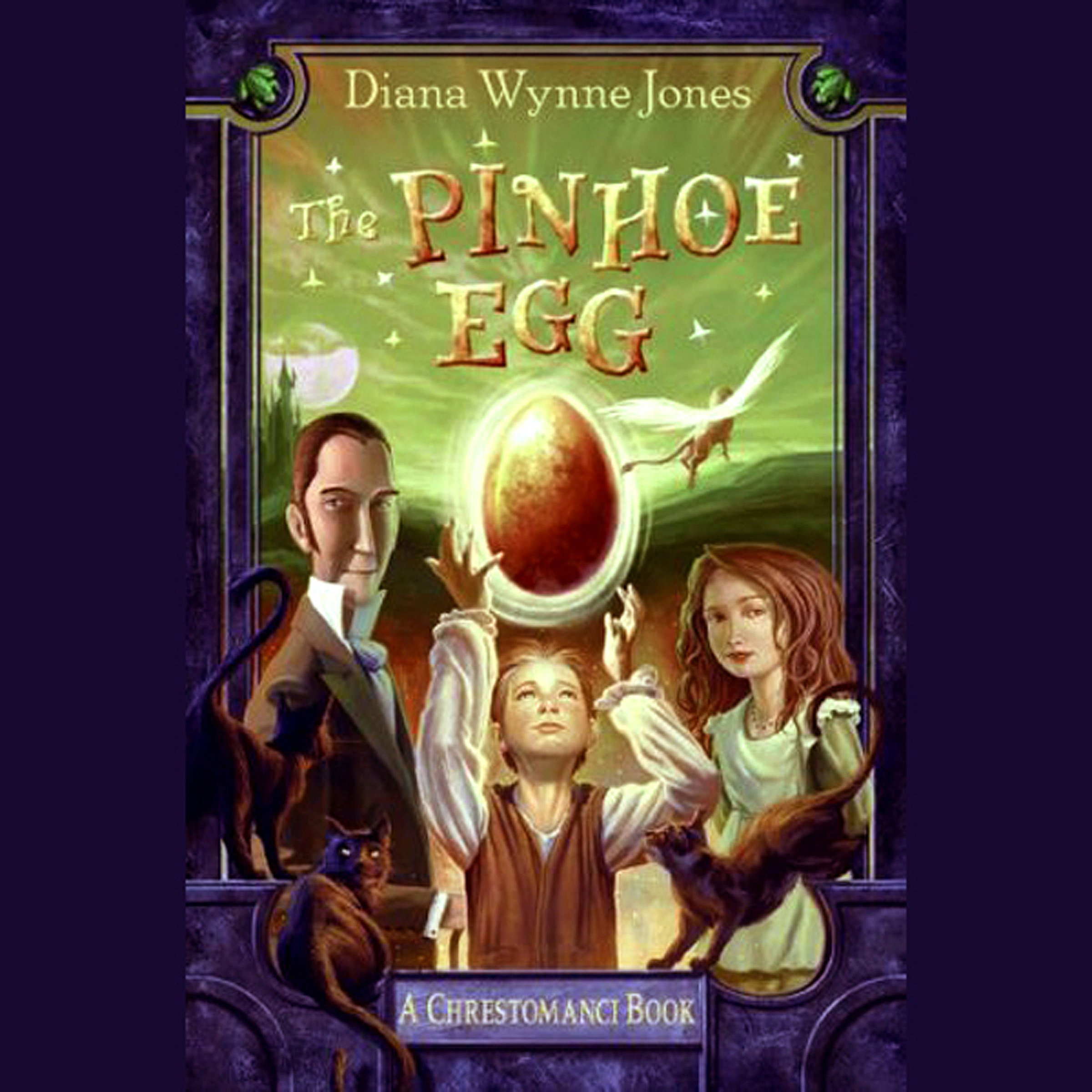 Cover art for The Pinhoe Egg