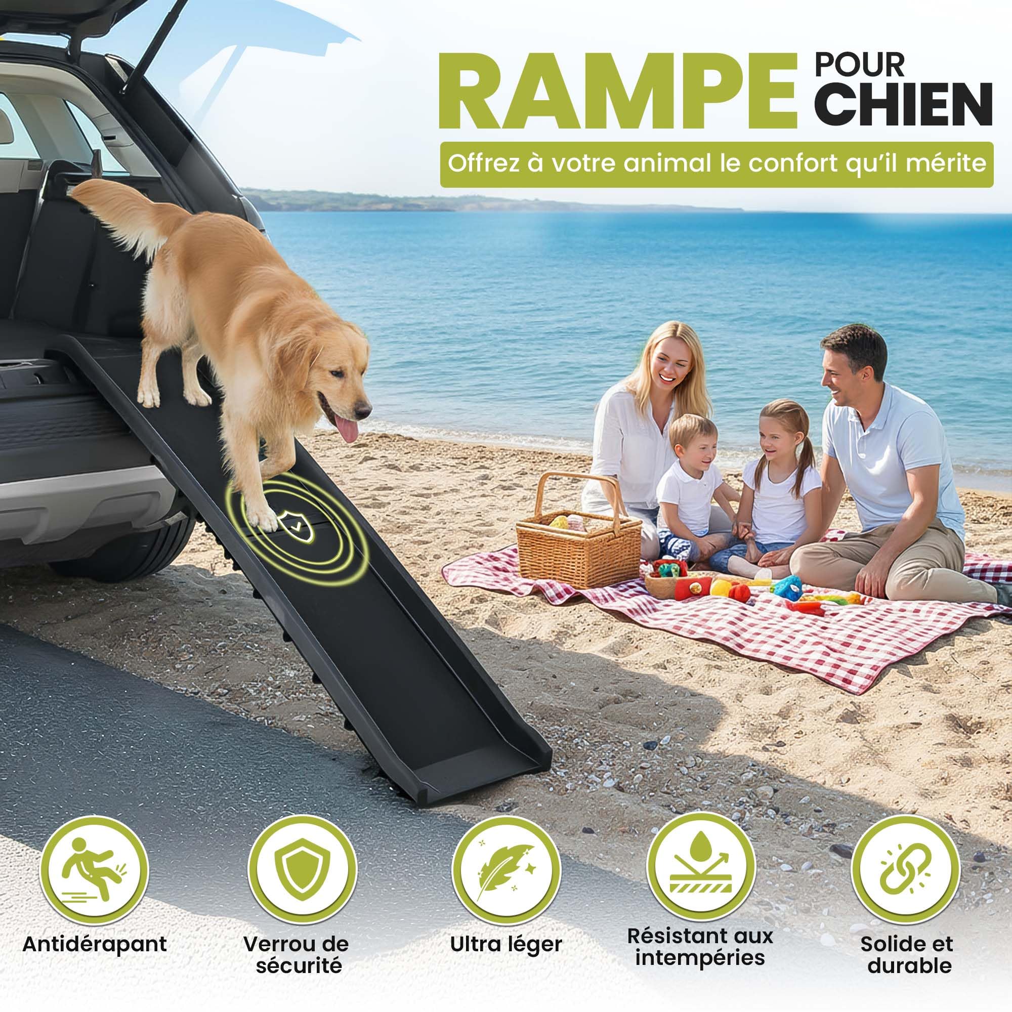 all Pets United® Rampe pour Chien et Chat Pliable Aide à l'entrée dans Le Coffre Escalier pour Animaux domestiques pour Grands et Petits Animaux (Rampe)