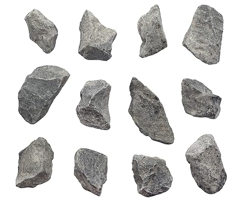 Miniatura 6 de EISCO 6PK piedra caliza gris cruda, especímenes de roca sedimentaria  aproximadamente 1 pulgada  Geólogo seleccionado y procesado a mano  Ideal para