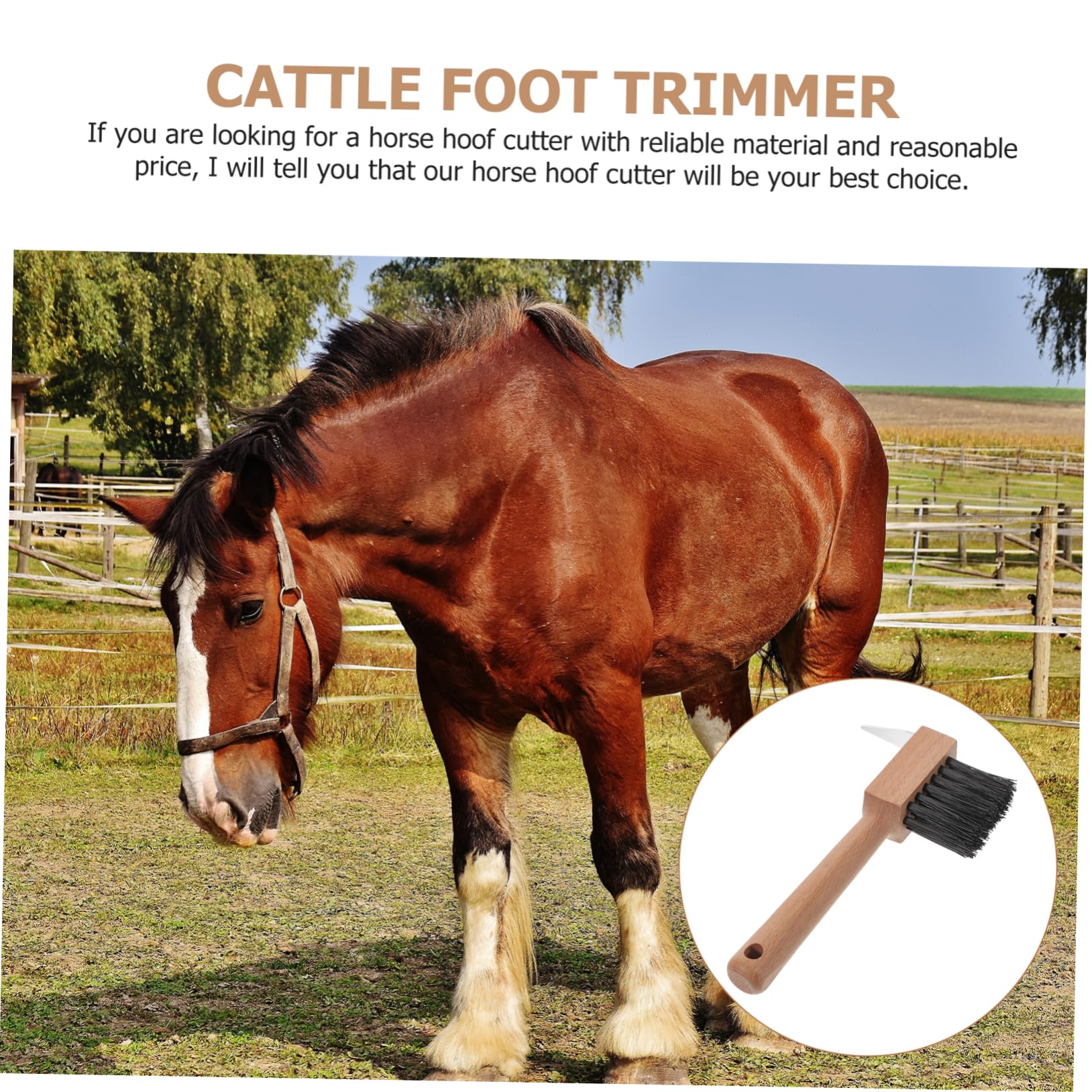 Toyvian Brosse À Sabots Pour Chevaux Et Bovins Outil De Réparation Et Pareur De Sabots Portable 6.69X3.94X1.18In Soins Des Pieds Pratique Pour Ovins Et Ânes
