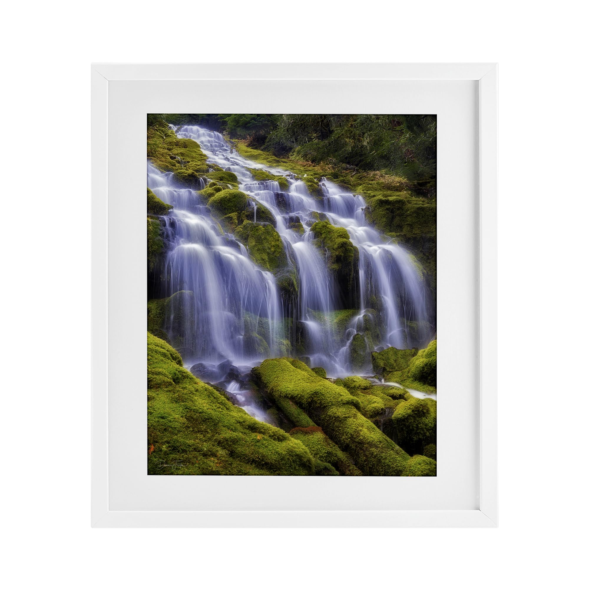 'Upper Proxy Falls'| Framed Print Under Glass