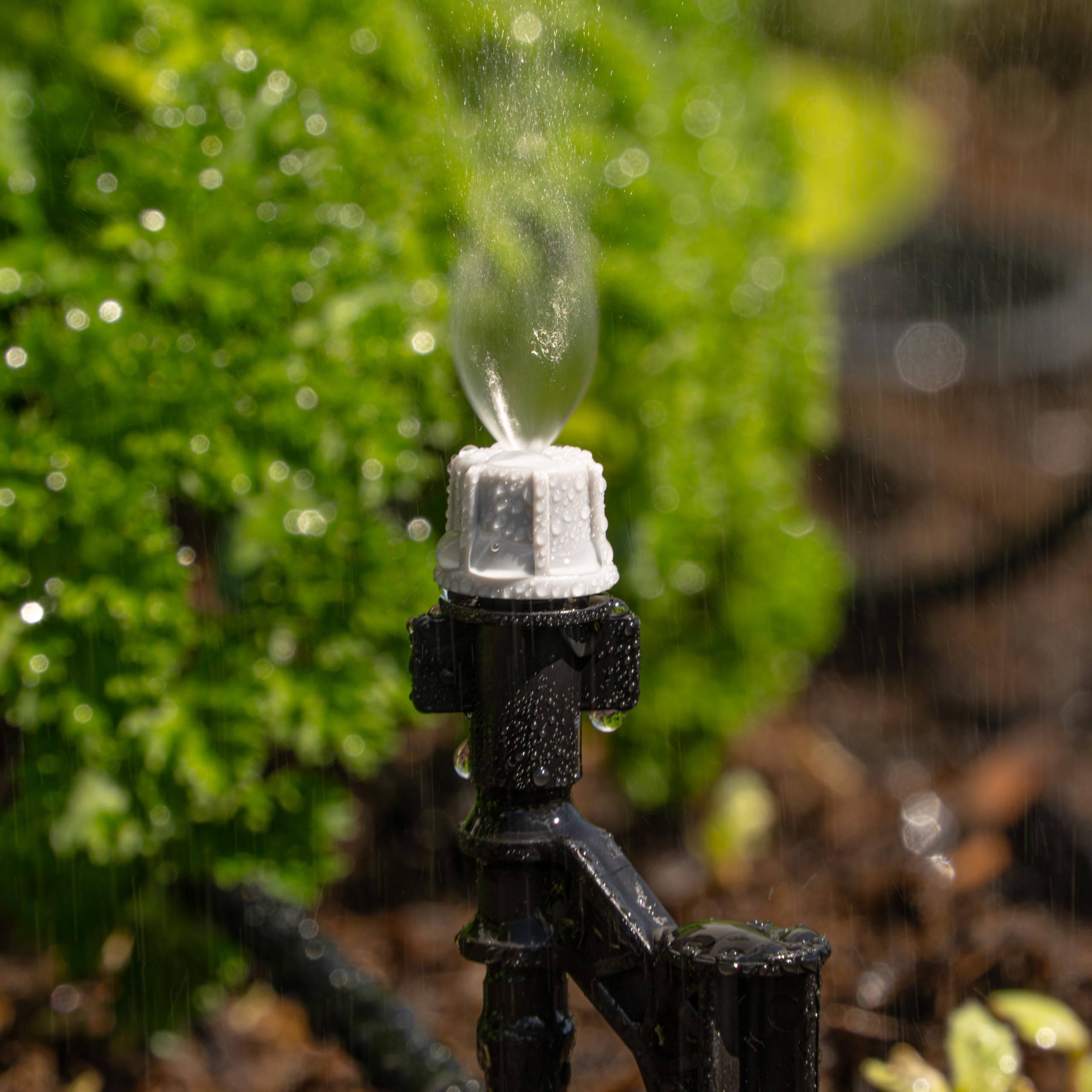 Esotec Solaire Système D'Hyrrigation Projection Professional - Automatique Irrigation Sur Jusqu'À 20 Sprühnebel-düsen - Simple Et Individuel - pour Jardin Et Plantes Conteneurisées (101122)