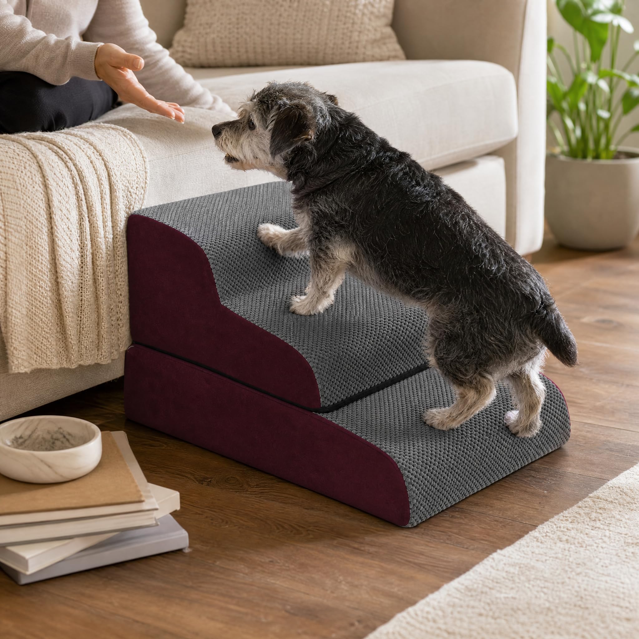 Hundetreppe, Schaum, abnehmbar