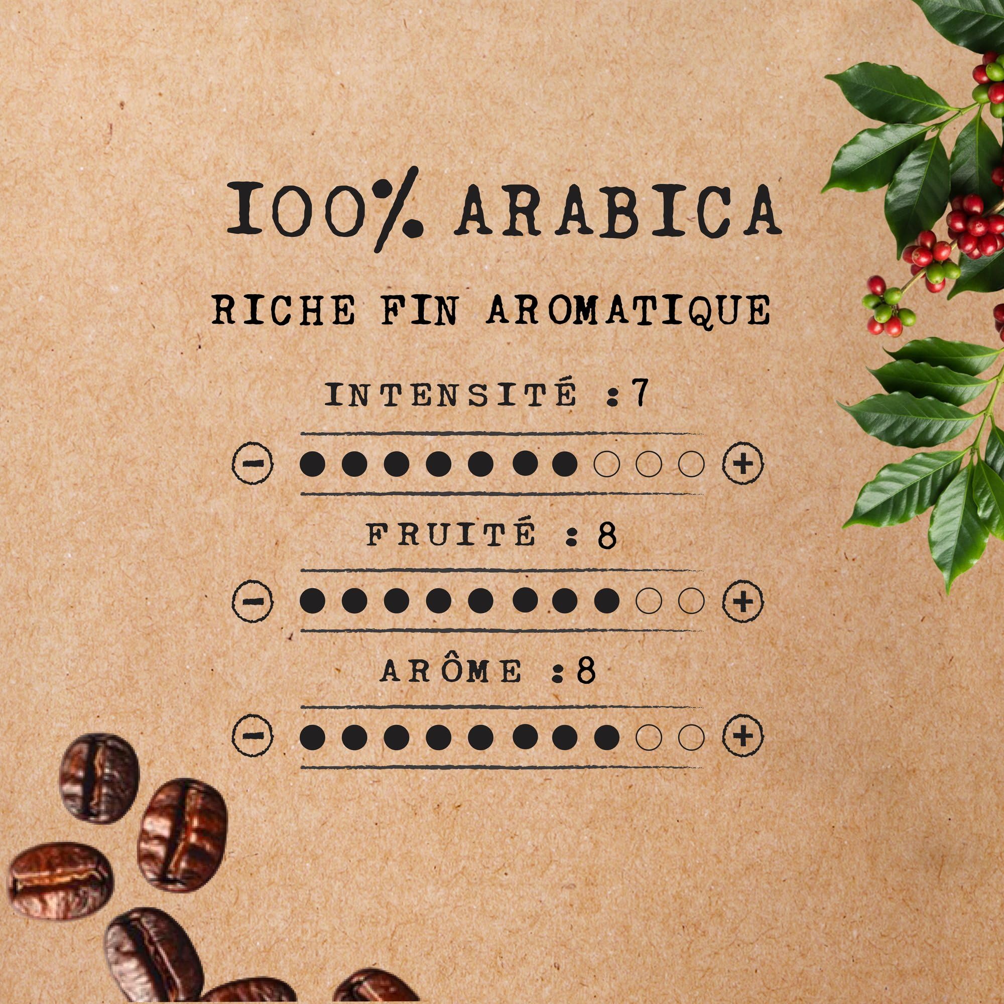 Cafés Méo - Dosettes Café Excellence Pur Arabica - 432 Capsules - Compatible avec Senseo - Intensité 7/10 - Arômes Authentiques, Fin et Aromatique - Lot de 12x36