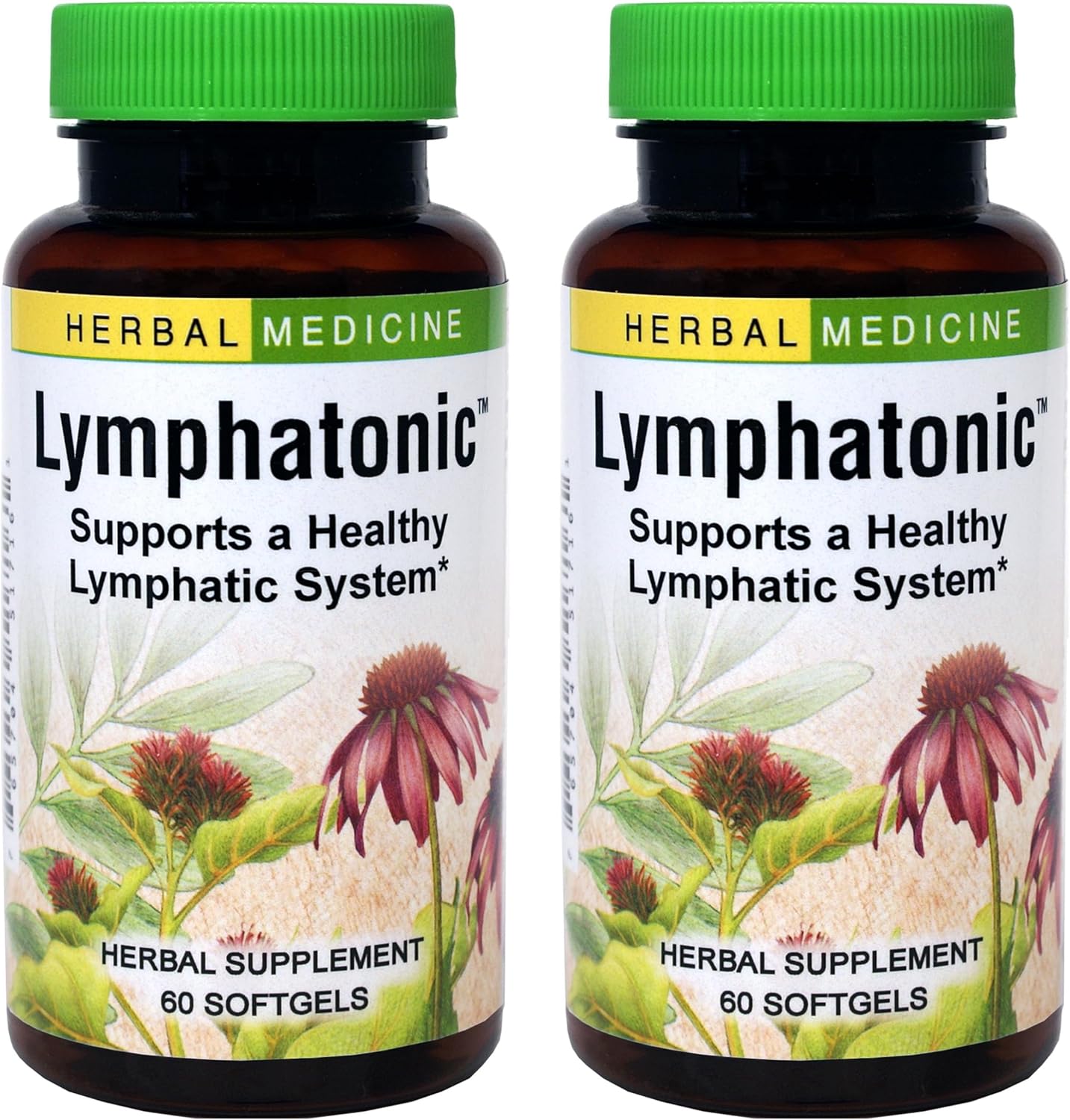Herbs Etc. Lymphatonic Softgels – Lymph System Support – Support a Healthy Lymphatic System – Gluten-Free Herbal Supplement – 60 Softgels (60 Servings) – 2 Pack Herbs Etc. Lymphatonic Softgels – Lymph System Support – Support a Healthy Lymphatic System – Gluten-Free Herbal Supplement – 60 Softgels (60 Servings) – 2 Pack