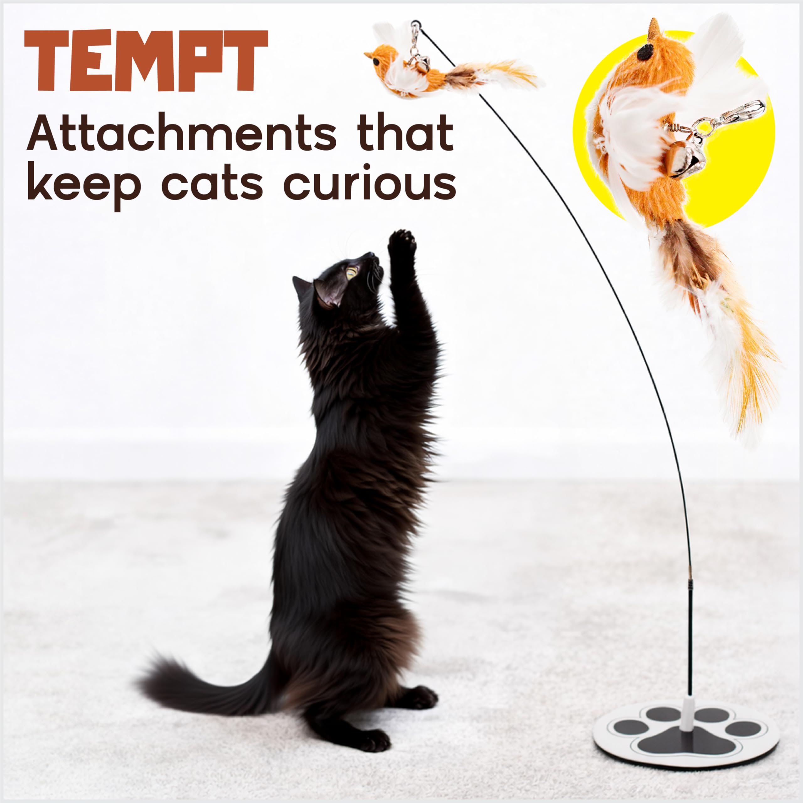 Whisker Wonders Lot de 5 jouets pour chat avec base solide