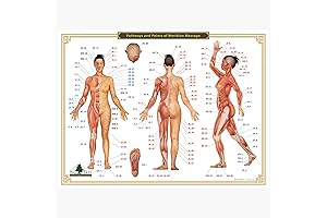 12 Meridians and Points Acupuncture Chart