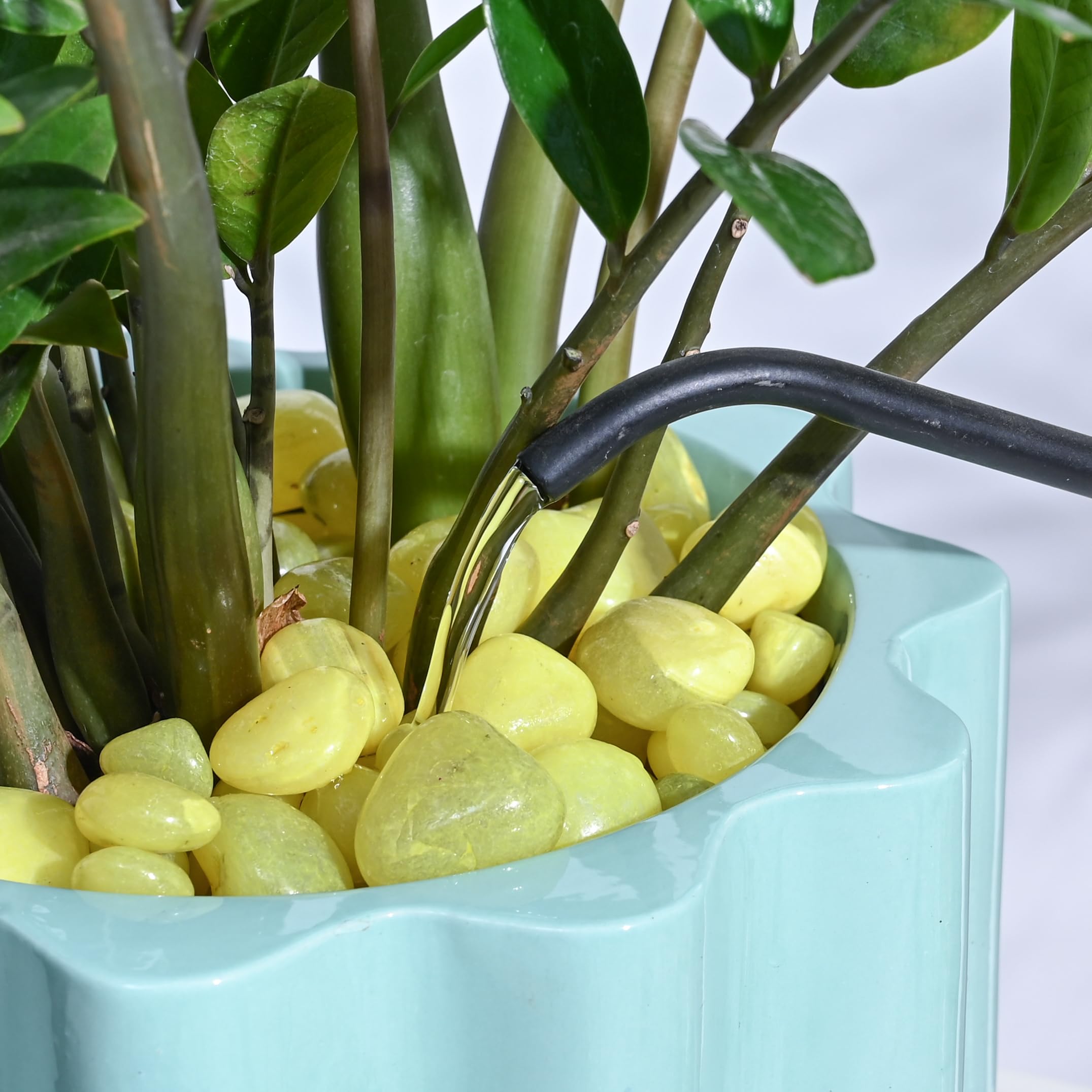 Yellow Polished Pebbles - Garden Decor & Plant Pots -2 Yellow Polished Pebbles - Garden Decor & Plant Pots -2