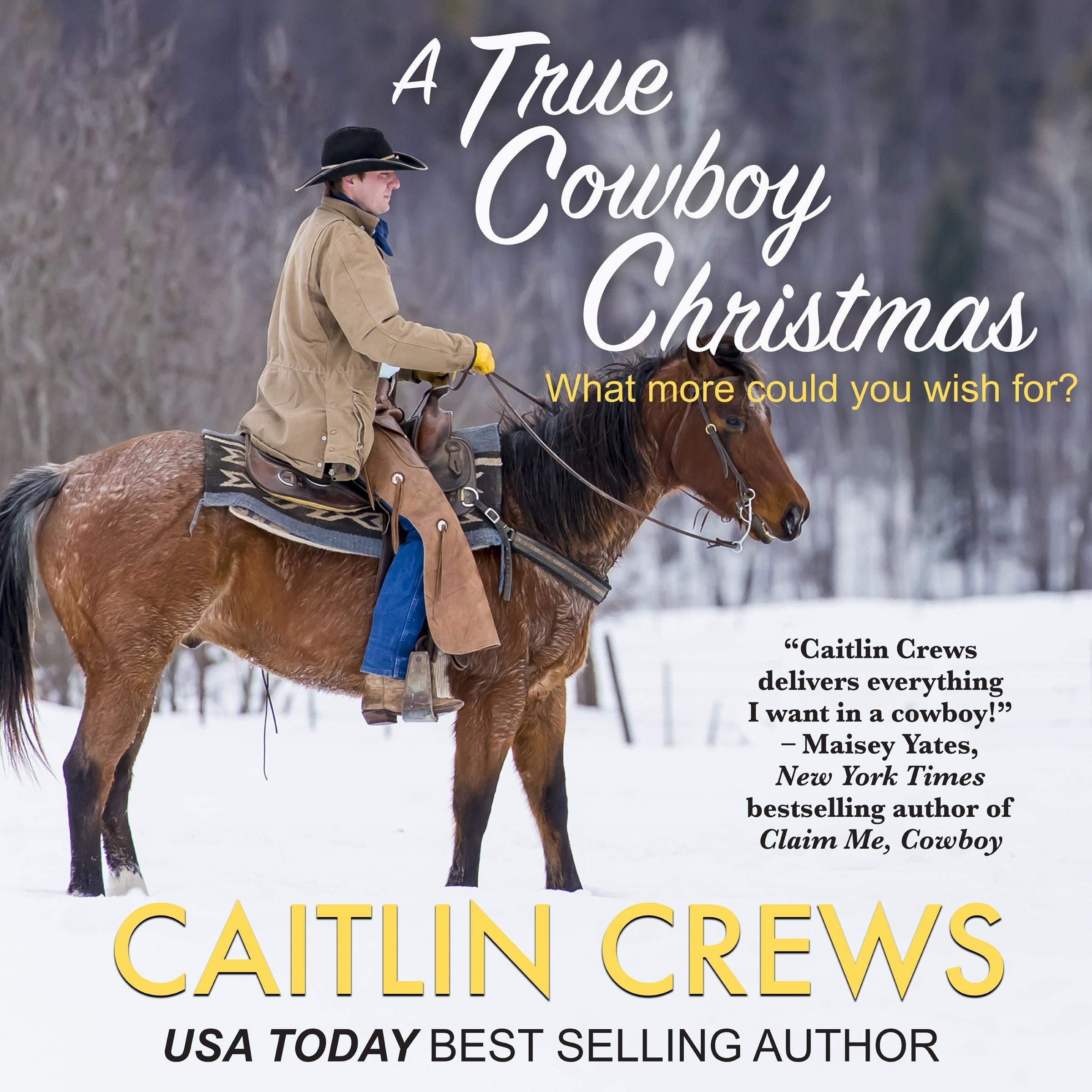 Cover art for A True Cowboy Christmas