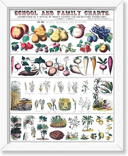 Miniatura 471 de Poster Master Póster vintage de orquídea, estampado de flores retro, arte de pared de plantas exóticas, arte botánico, regalo para hombres y