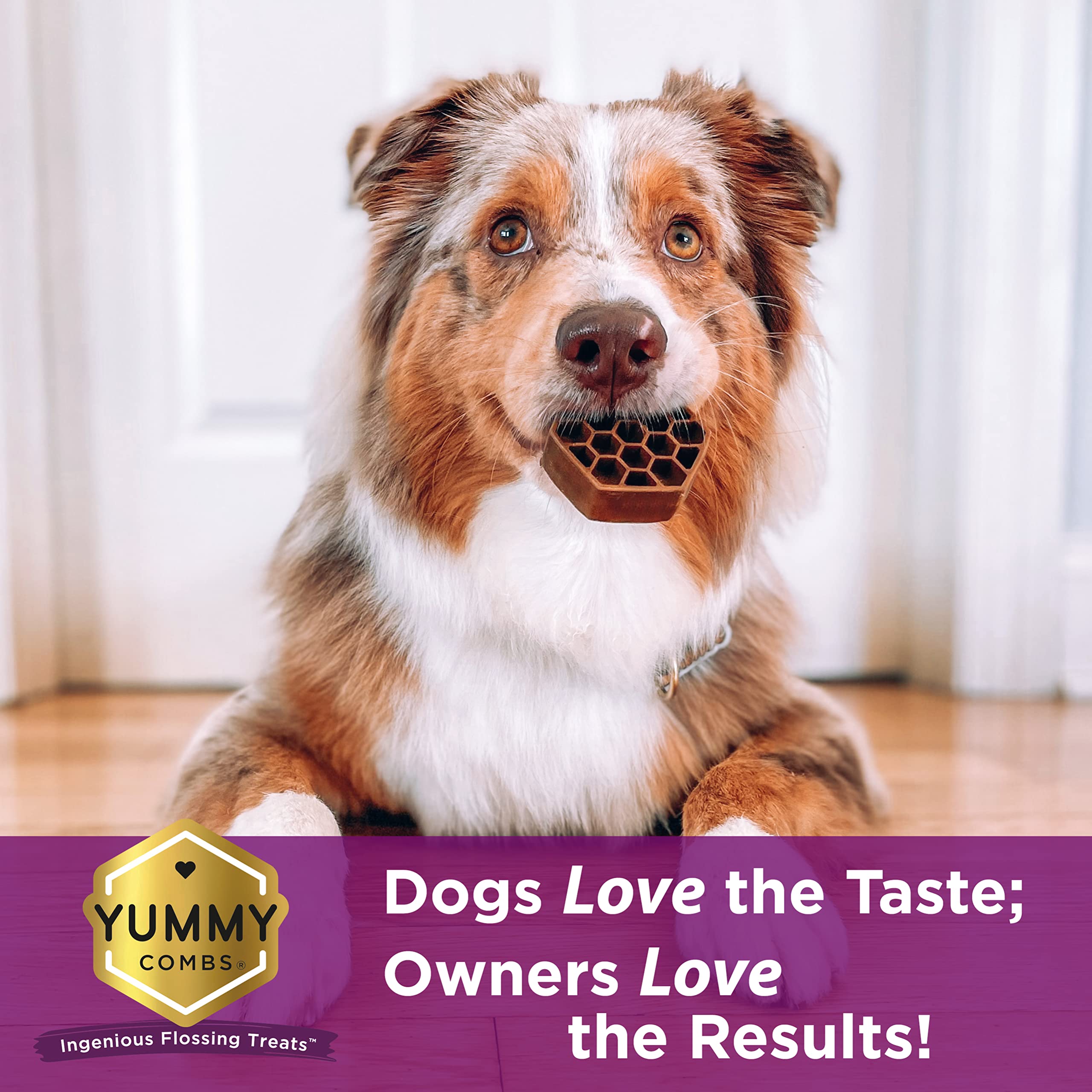 Do Dog Dental Treats Really Work