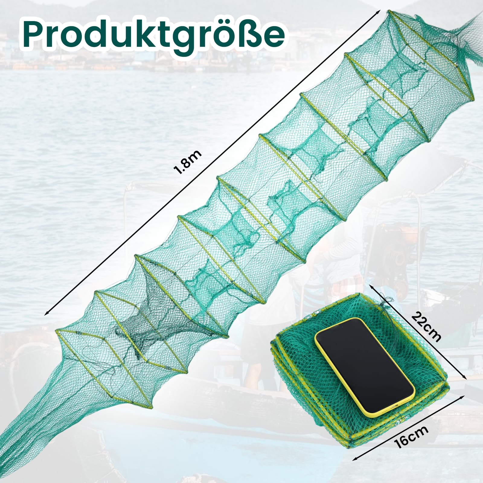 Fischreuse Faltbare Krebsreuse Set,Aalreuse mit Fischernetz, Praktische Reuse Fisch, Kescher Angeln für Teich, Fluss, See zum Fangen von Aalen, Krebschen, Garnelen, Kleinfischen