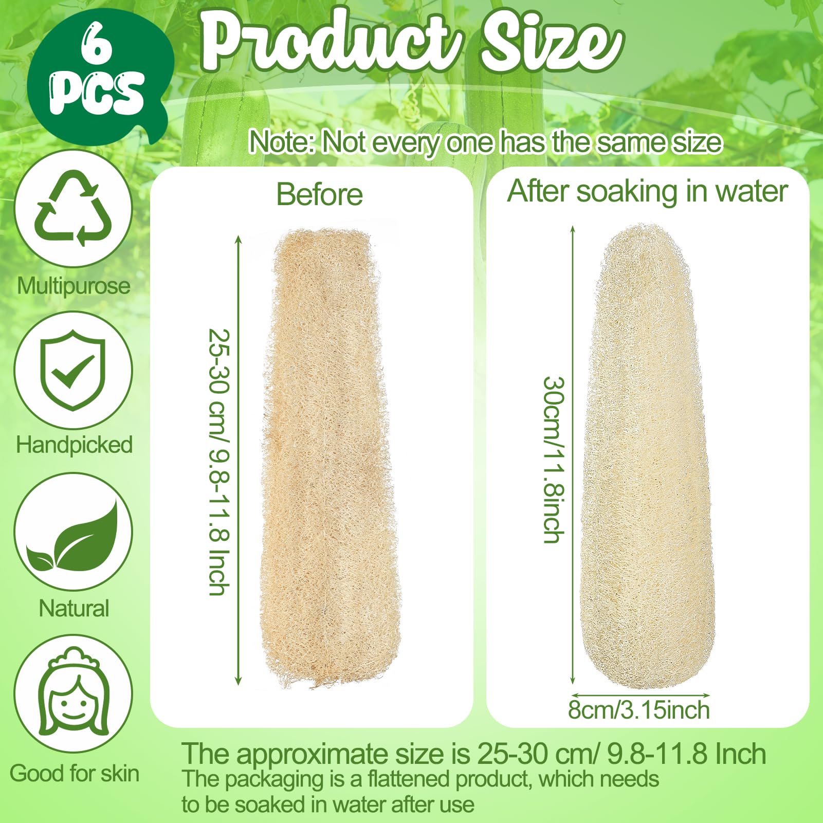 Esponjas naturales de lufa de 11.8 pulgadas, paquete de 6, para platos de cocina, depurador corporal