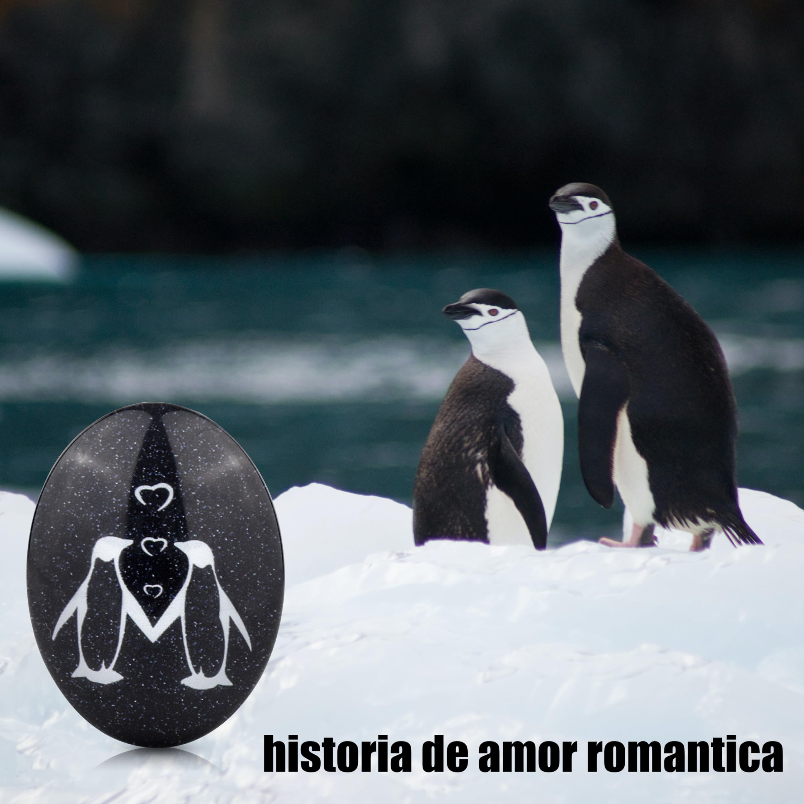 Regalo Aniversario Pareja Pingüino Piedra Originales para Hombre Mujer