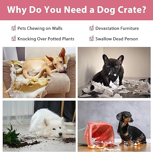 Miniatura 2 de Jaulas extra grandes de 48 pulgadas para perros medianos, plegables de doble puerta, XXL, para perros grandes, para interiores y exteriores, jaulas