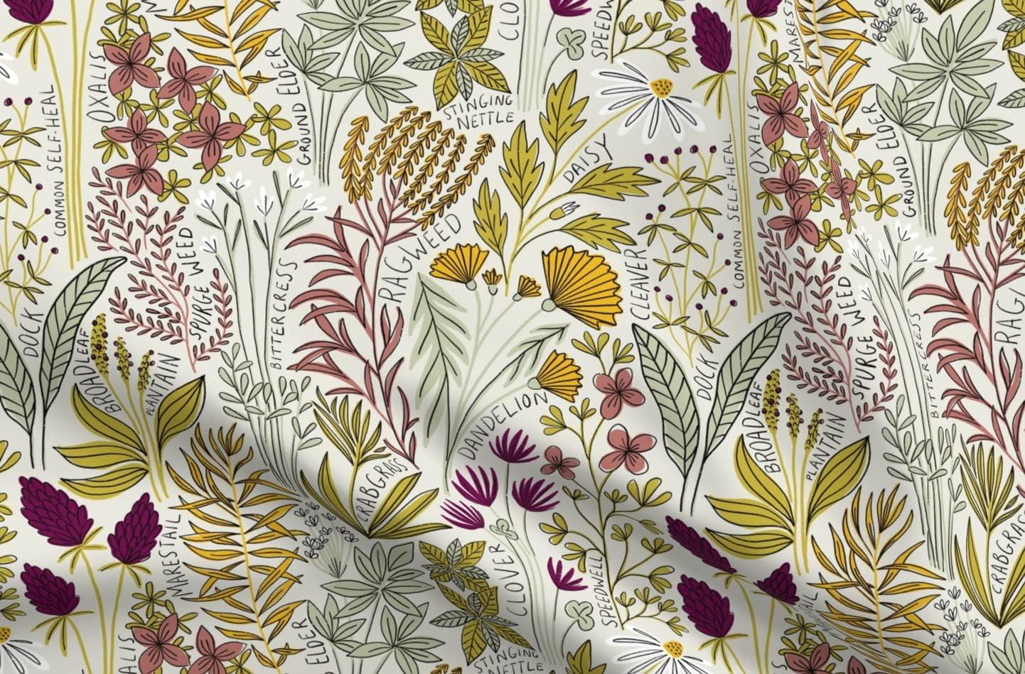 Spoonflower Fabric - Garden Dandelion Pretty Daisy Ragweed Wildflowers Printed on Minky Fabric by The Yard - Sewing Baby Blankets Quilt Backing Plush