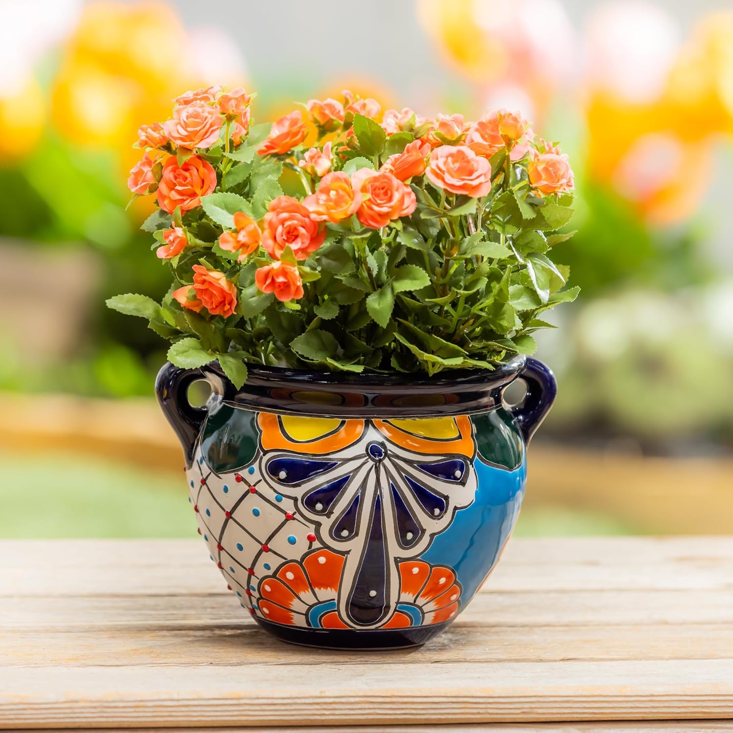 evergreen mexican pottery - Pros and Cons Overview