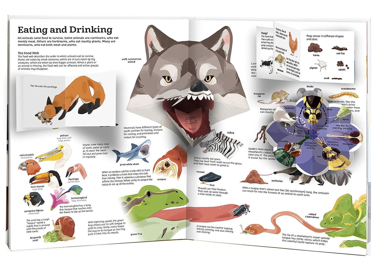 The Ultimate Book of Animals - Image 4