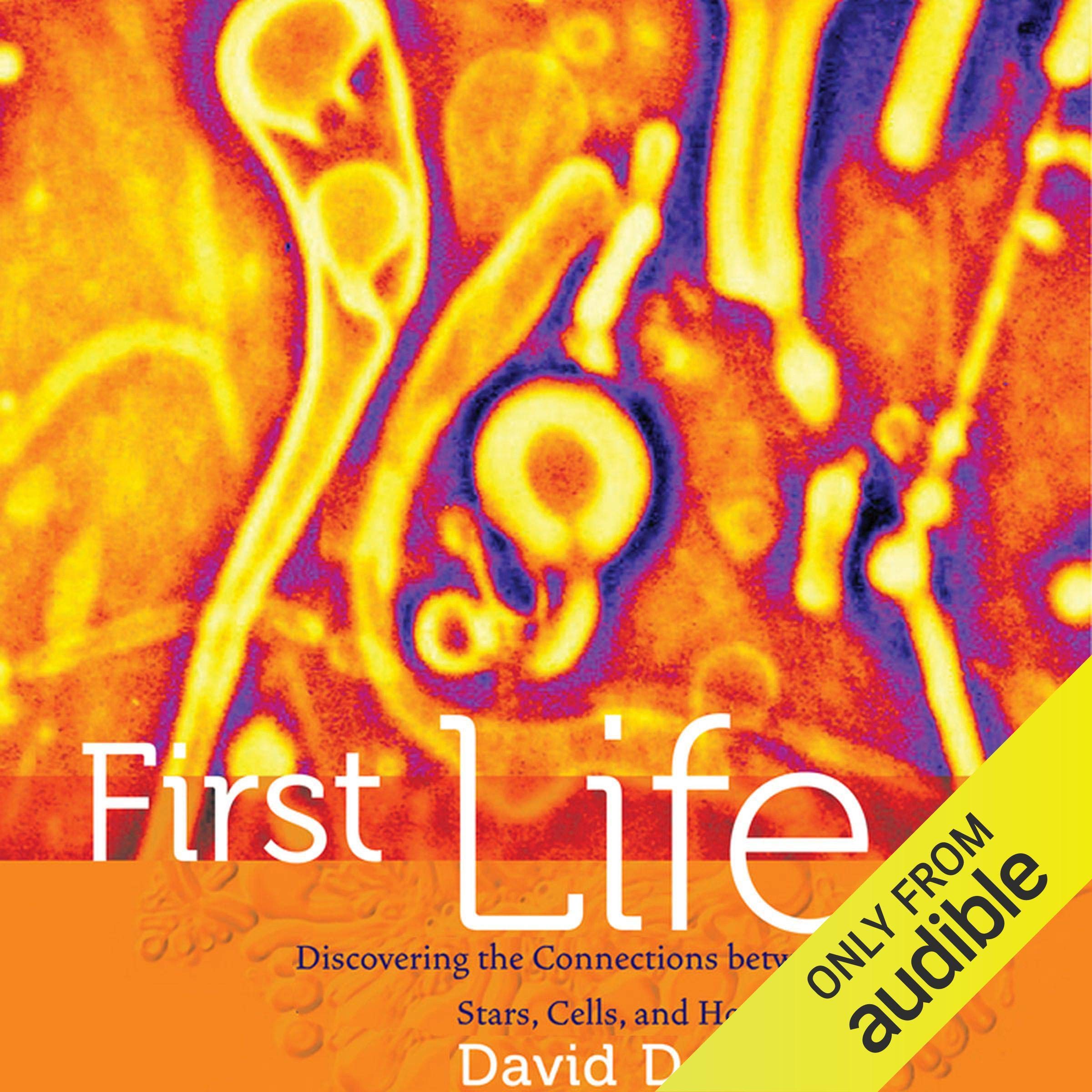 Cover art for First Life: Discovering the Connections between Stars, Cells, and How Life Began