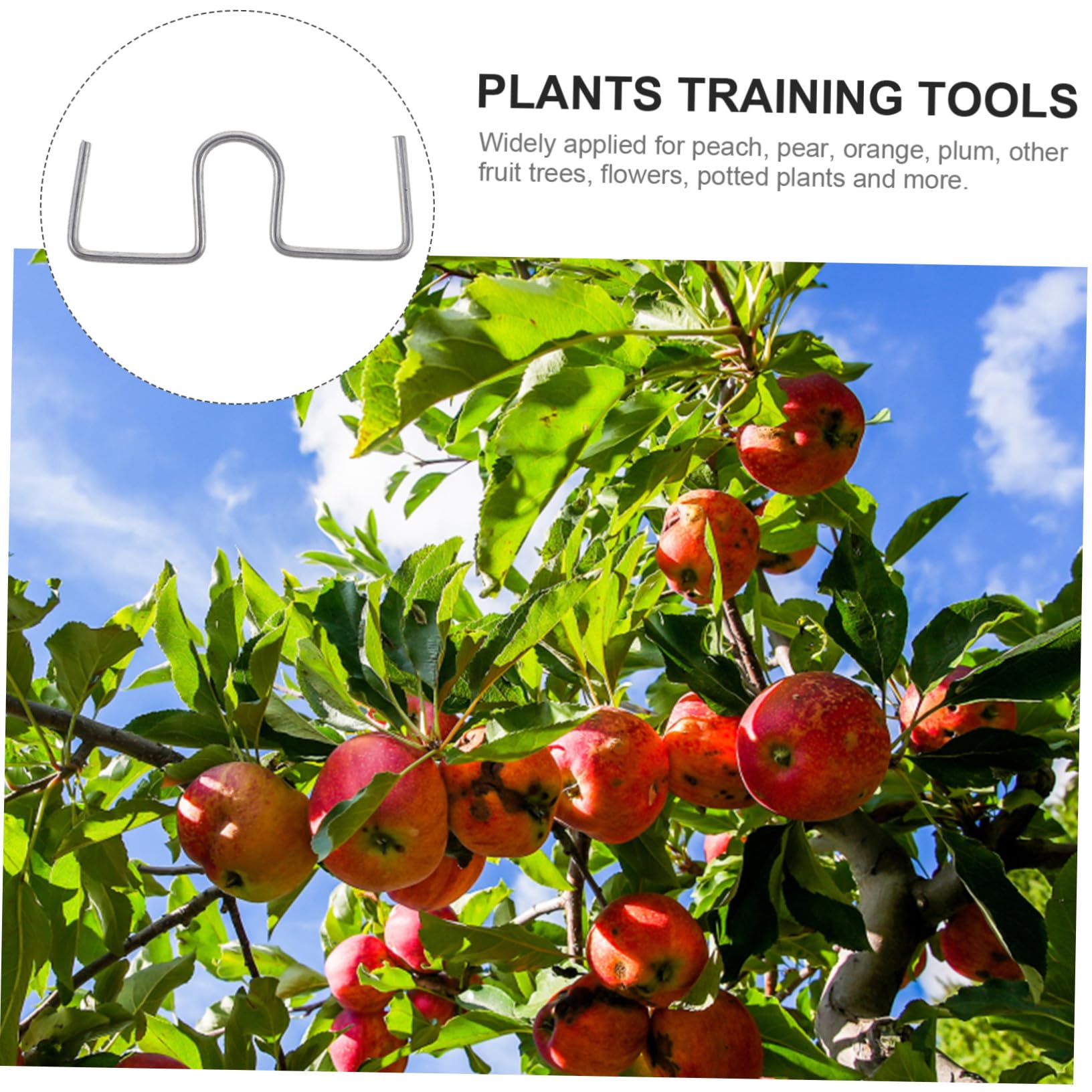 SUPVOX Outil De Fixation Et Mise De Branches Arbres Fruitiers Fil Galvanisé Adapté Aux Jeunes Plants Et Pommiers pour Jardin Extérieur