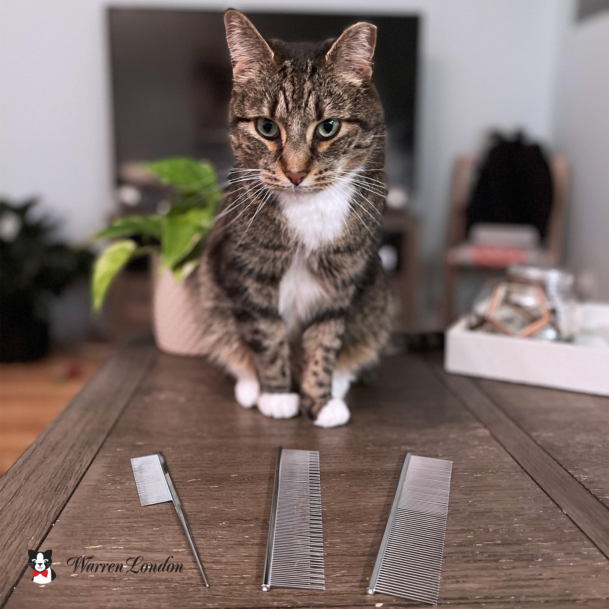 Peine cardado para gatos, 19 cm, fabricado con cobre, puntas redondeadas que evitan la irritación, diseño de doble diente para pelo corto y largo que elimina tapetes y enredos