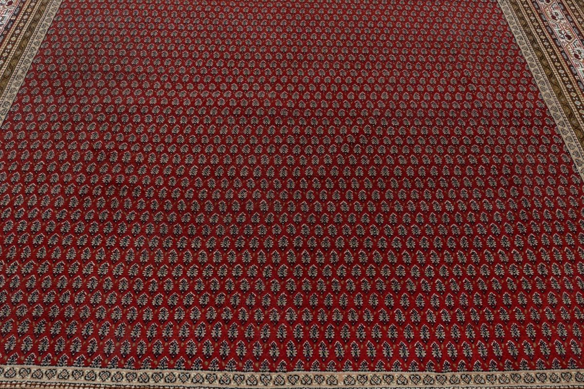 Top-Angebot: Indo Mir 251 x 351 cm Hand Knotted Oriental Rug Wool India | Handgeknüpfter Orientteppich | Wien Österreich