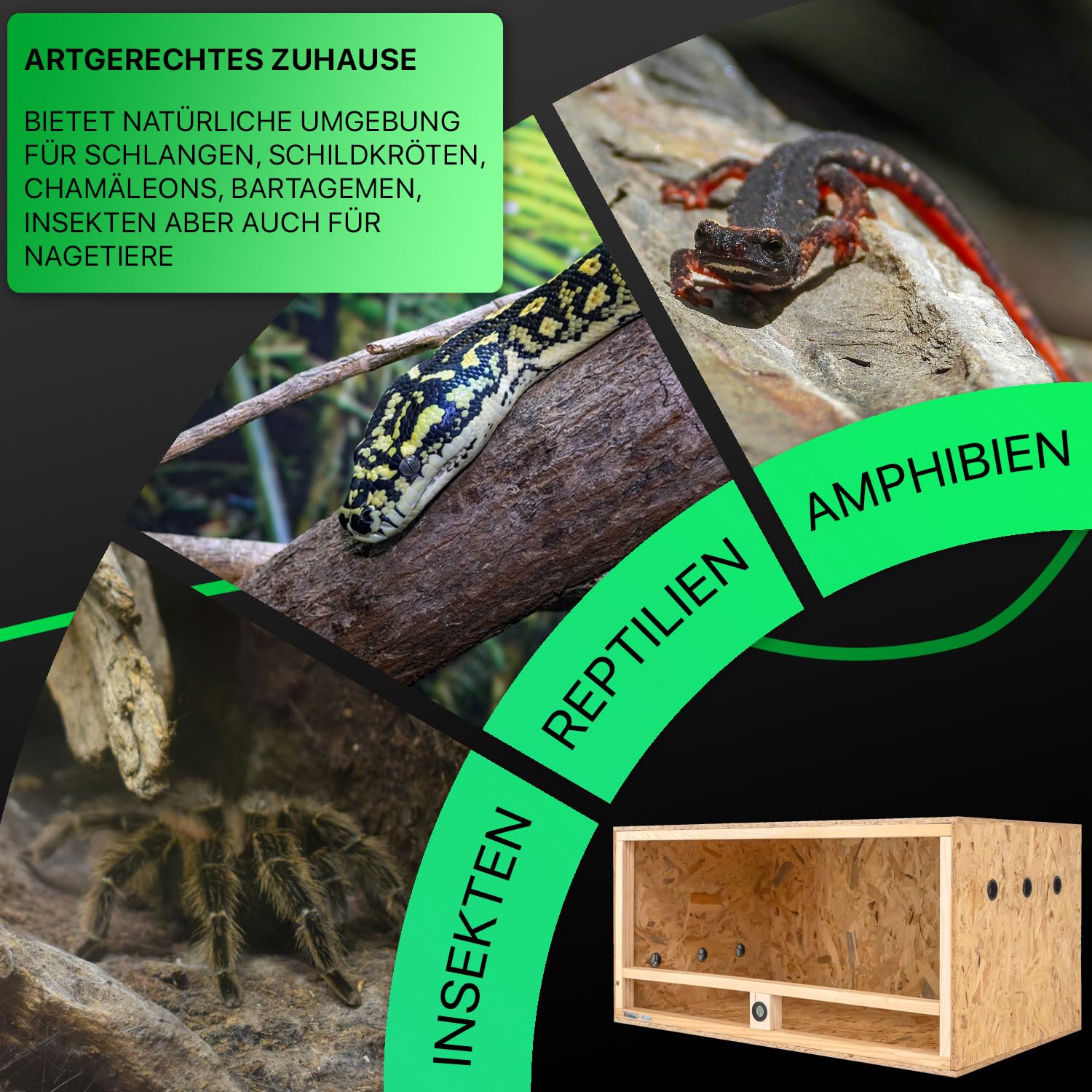 ITA Holz Terrarium 100x60x50 cm mit Seitenbelüftung & Integriertem Hygrometer - Holzterrarium aus OSB-3 Platten - Terrarien für Reptilien, Schlangen, Amphibien - EU Produkt, FSC Zertifiziert
