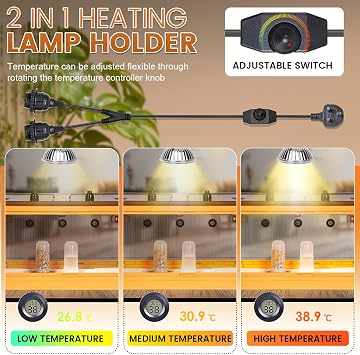 Chicken Brooder Box 142L Large Foldable Chick Brooder Box Hold up to 30 Chicks Poultry Breeding Box for Chicks Ducklings Quail Hamster Guinea Pig Kitten Puppies