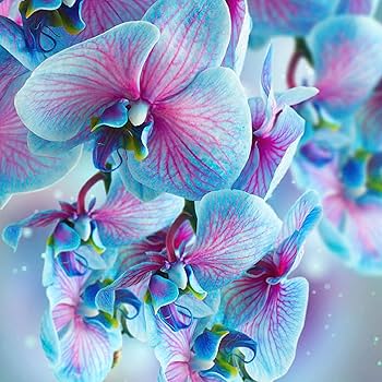 蘭花圖 🌺追思典雅-落地型蘭花7株