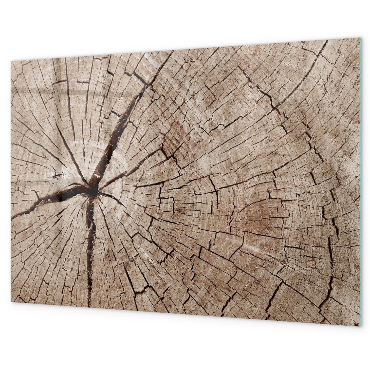 Pizarra de vidrio decorativa 100x70 cm | Viejo tocón de madera