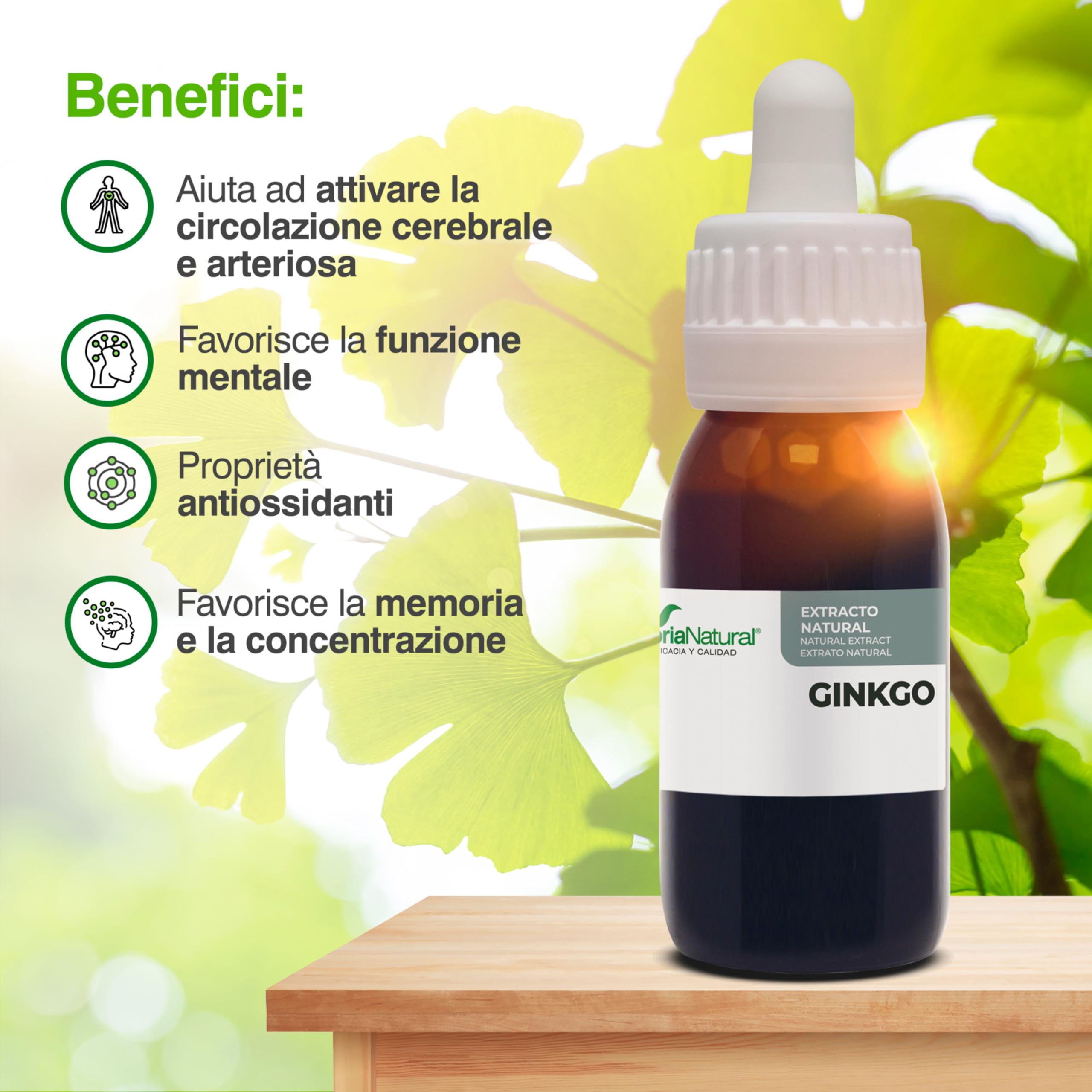 Ginkgo Biloba Integratore Estratto Naturale 50ml - Migliora Memoria, Concentrazione e Circolazione - Ginko Biloba Integratore Memoria e Concentrazione - Soria Natural