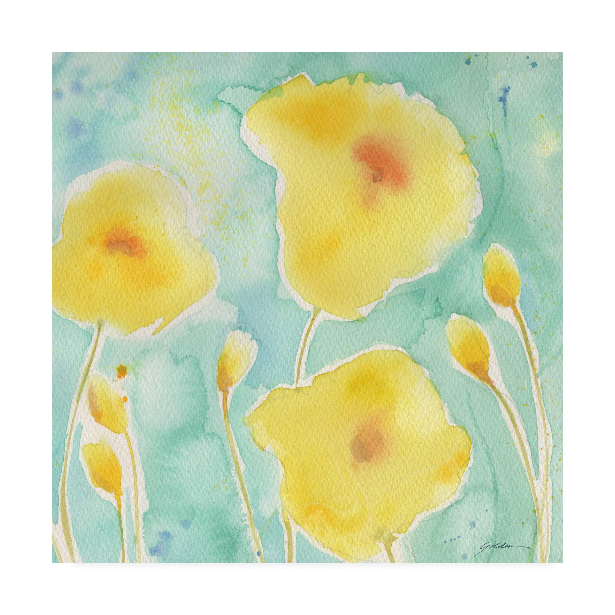 Trademark Fine Art, 35x35 Summer Rain #3 by Sheila Golde