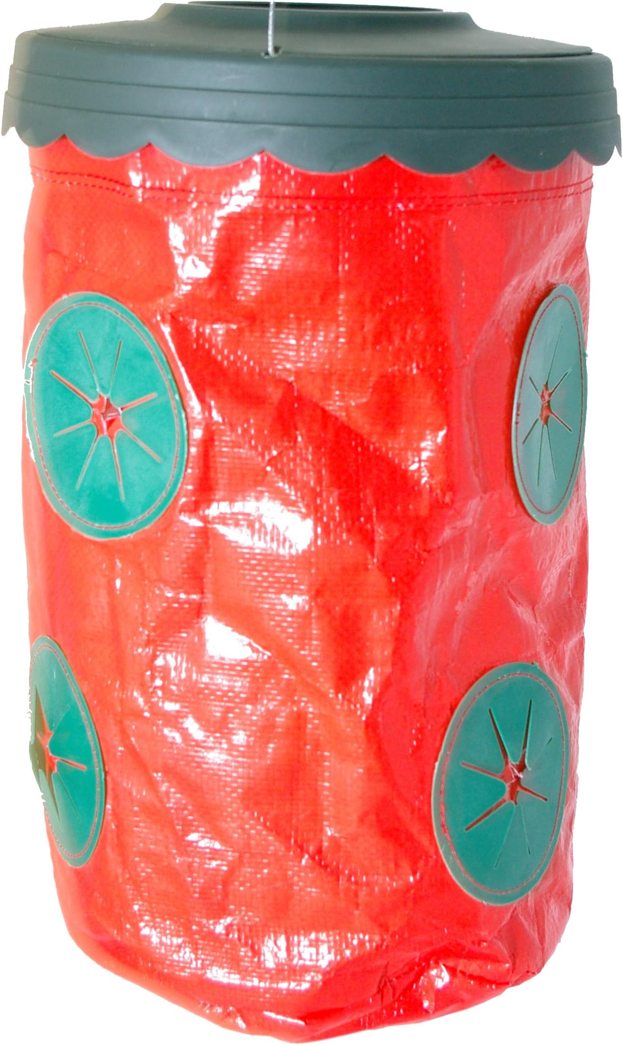 TV Hits 24-52 Upsy Daisy Upside Down Planter - Strawberry