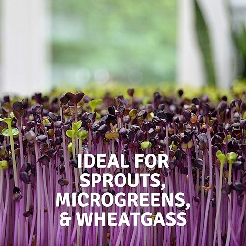 Miniatura 5 de Handy Pantry Micro-Mats - Almohadillas hidropónicas de cultivo - para producción orgánica - Paquete de 50 - Germinación de plantas y semillas pasto