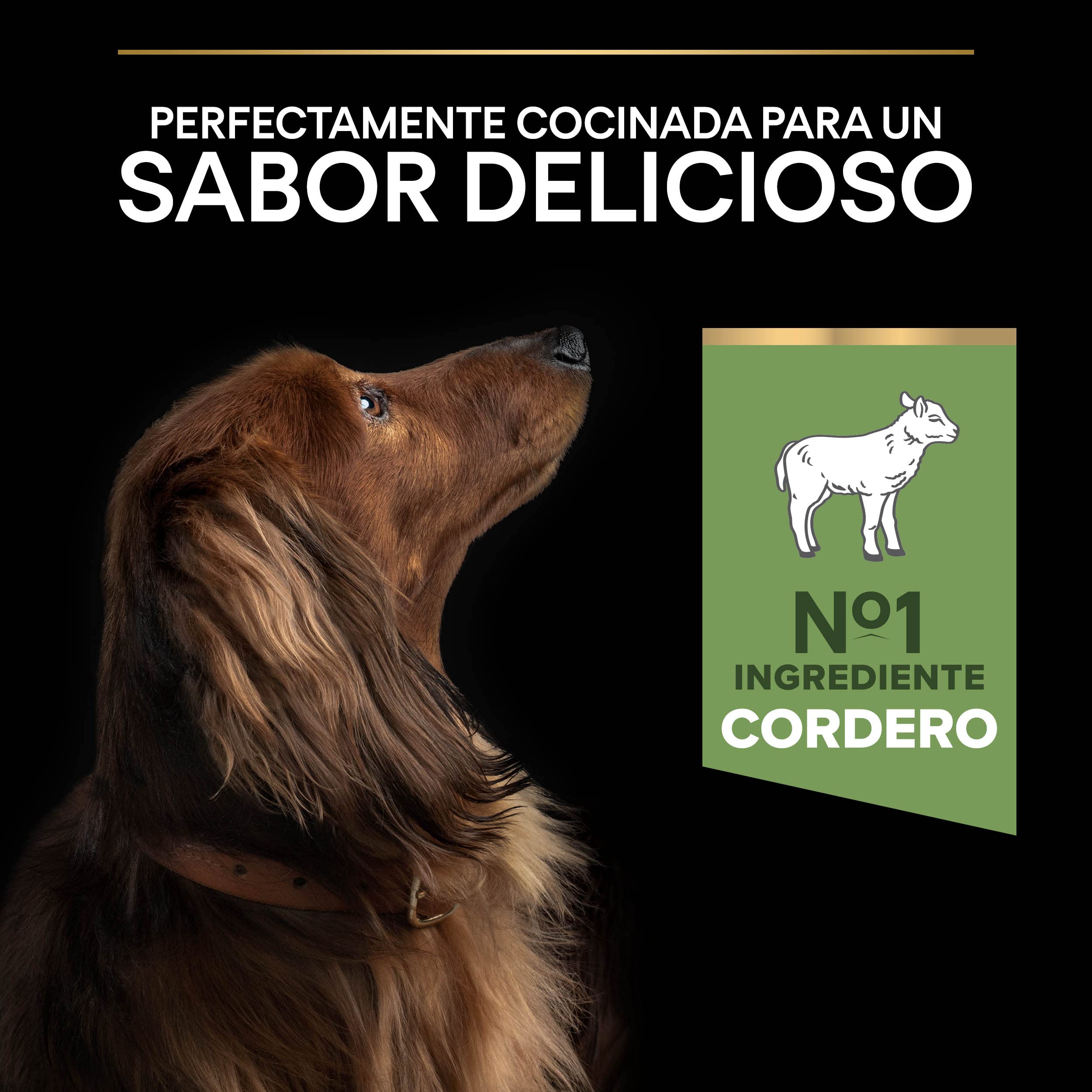 Pro Plan Small&Mini pienso perro Adulto Digestion Sensible 4x3 kg