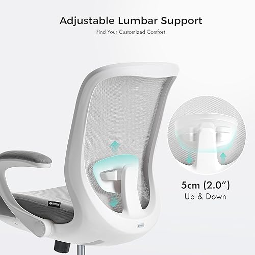 Miniatura 6 de EUREKA ERGONOMIC Armis Ergonomic Office Chair with Back Support Flip up Arms, Home Office Desk Chair for Space Saving, Breathable Backrest Mesh,