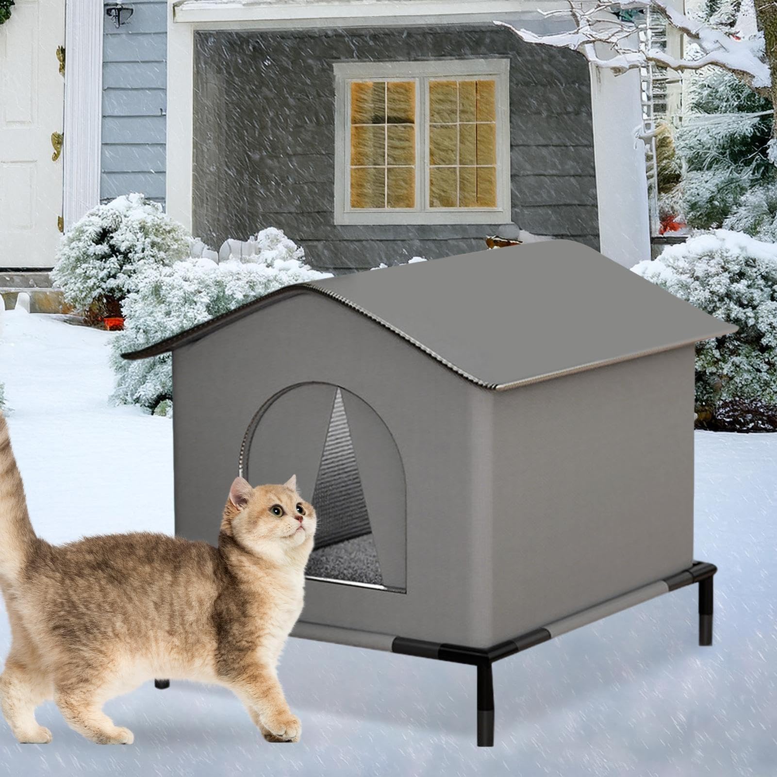 da esterno resistente alle intemperie, cuccia per gatti con base rialzata | e cuscino, isolato per gatti, grande per animali da giardino, terrazza o giardino