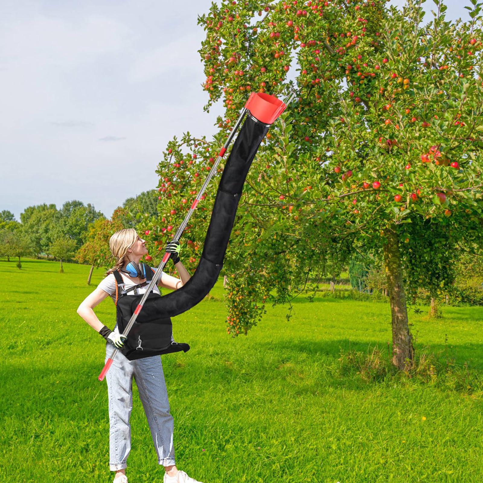13FT Fruit Picker Pole, Adjustable Fruits Picker Tool with Harvest Bag, Stainless Steel Telescoping Fruit Picker Extension Pole for Apple Mango Pear Orange Avocados Tree Picking