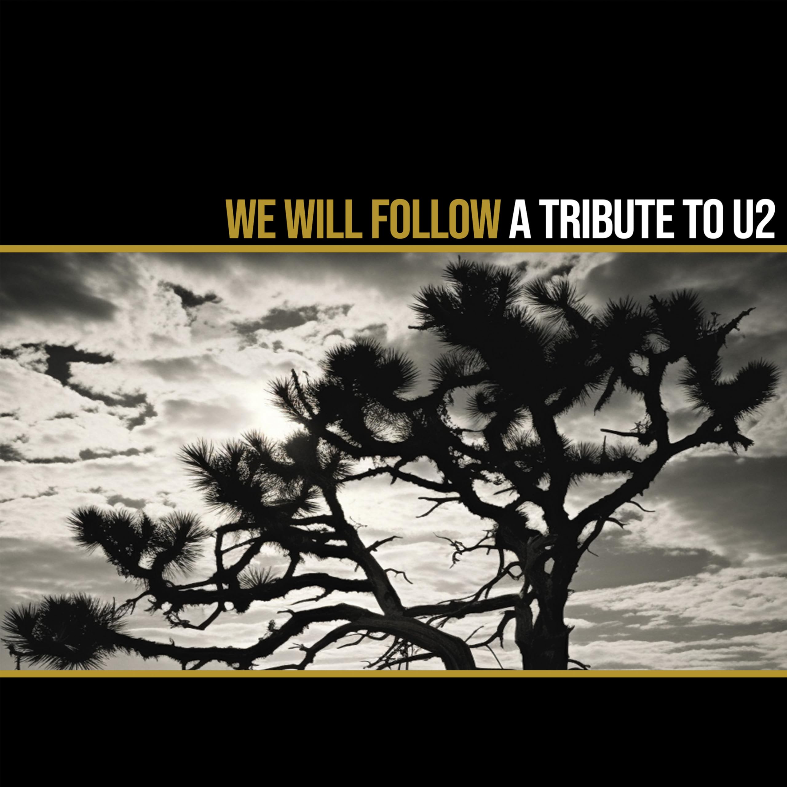 We Will Follow - A Tribute To U2 [VINYL]