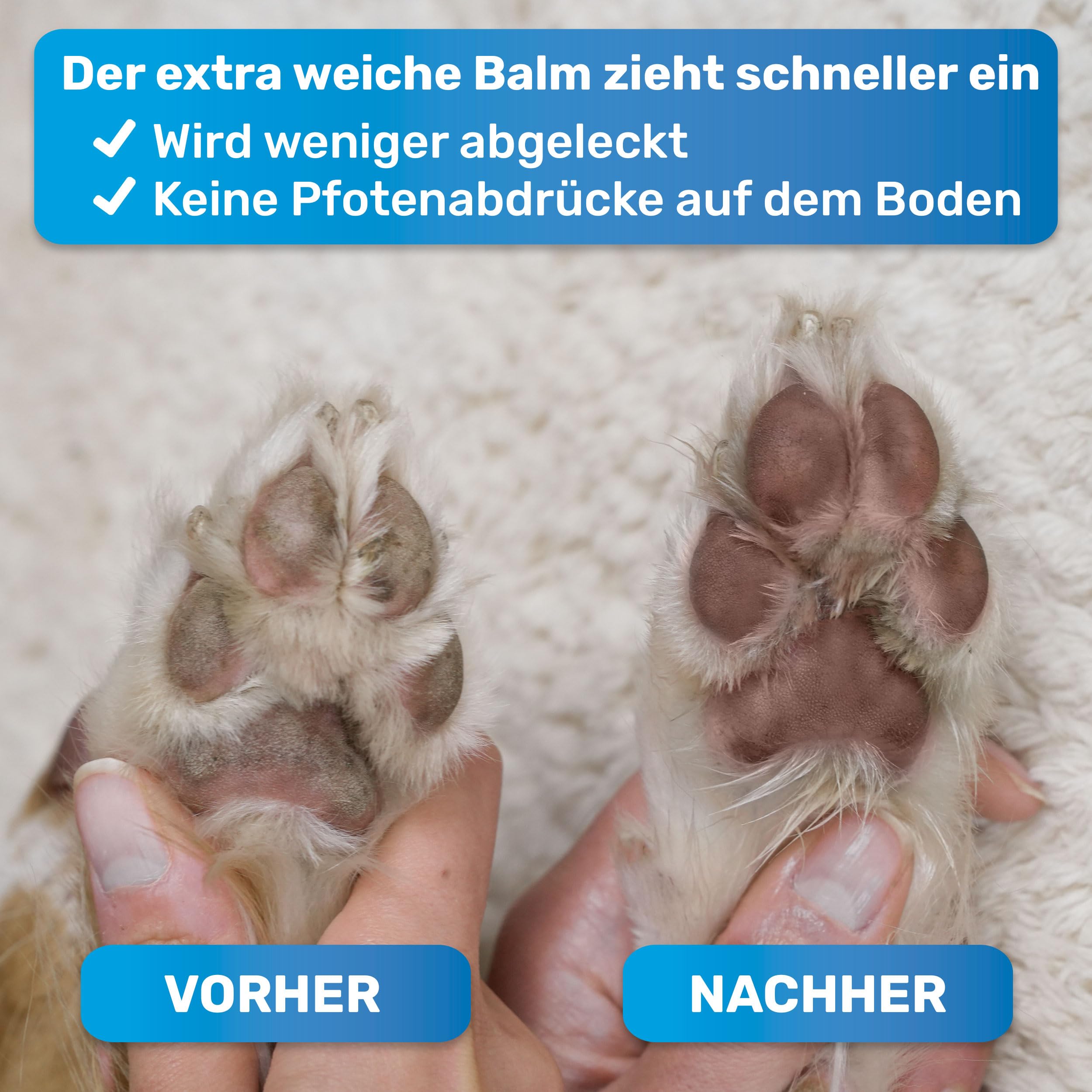 BluePet Baume Coussinet Chien, Creme Coussinet pour Pattes de Chien & Chat, Baume Pattes & Truffes Chiens, Protection Neige & Chaleur, Cicatrisante & Antiseptique, pour Pattes & Truffe sèche, gercée