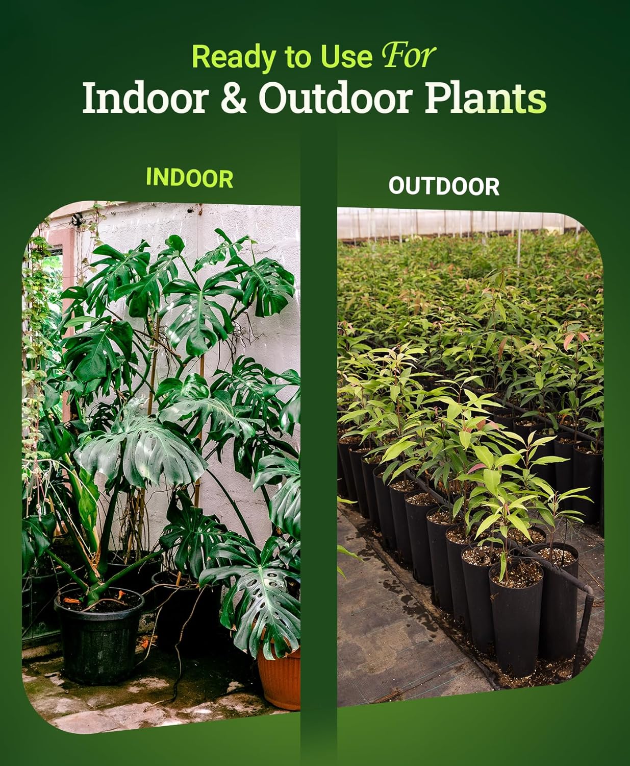 FoxFarm Happy Frog Potting Soil - Ready-to-Use Amended Container Blend with Soil Microbes, Earthworm Castings, Bat Guano, and Aged Forest Products for Indoor & Outdoor Plants - 12 Quart