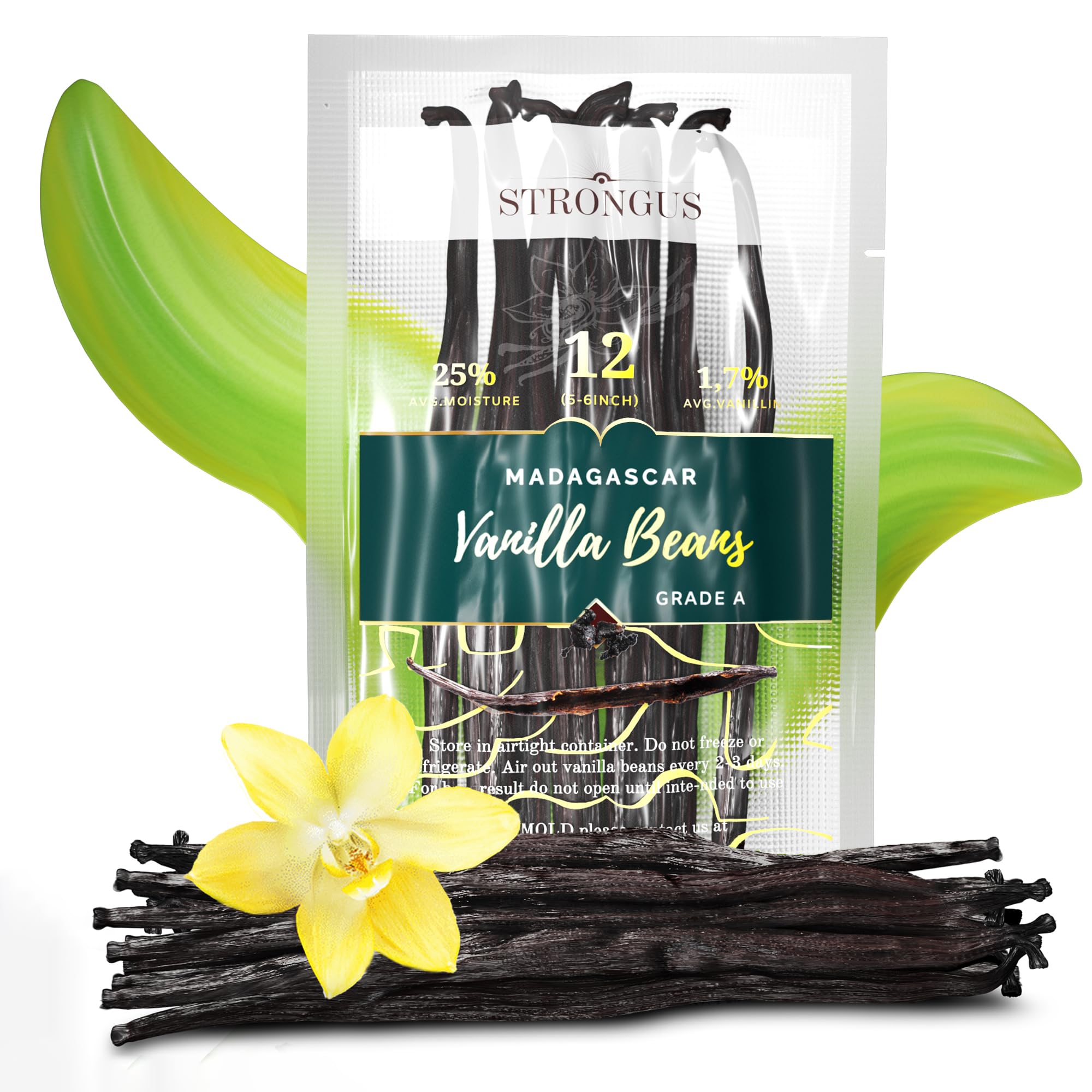 Strongus Madagascar Vanilla Beans - Vacuum Sealed Grade A Vanilla Pods - Rich, Creamy Flavor & Aroma -Great for for Baking, Homemade Extract, Paste, Brewing, Coffee, Cooking - 5-6", 12-Pack