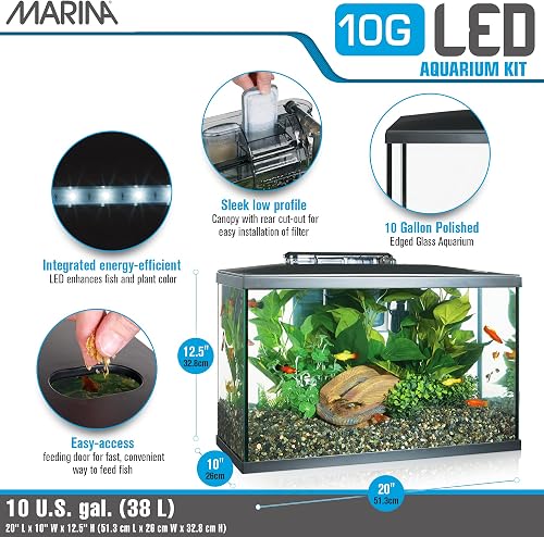 Marina Verre Kit LED pour aquarium, Poisson - 3