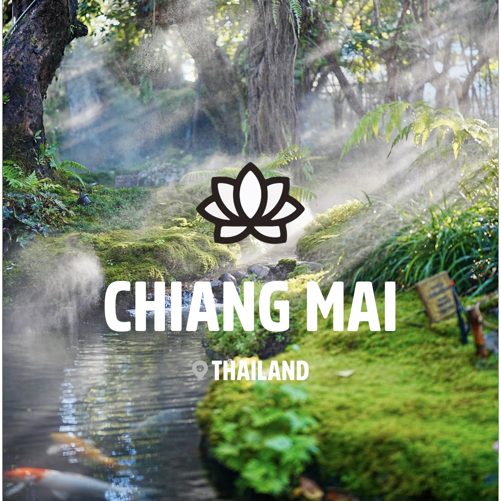 Juego de Aceites Esenciales Serie Chiang Mai, Set de 6 Aceites 100% Puros - Canela, Sándalo, Incienso, Menta, Hierba de Limón, Bergamota 10ML Hacer Velas, Fragancias Frescas y Difusor