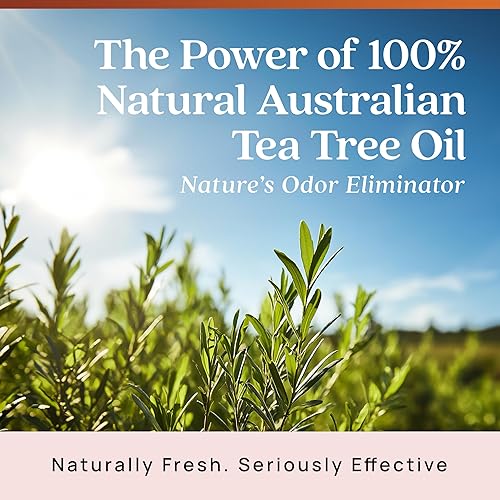 Miniatura 40 de Azuna Ambientador y gel eliminador de olores, kit de 4 habitaciones, incluye (4) frascos de vidrio vacíos de lujo de 8 onzas y 24 onzas de repuesto