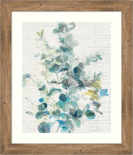 Amanti Art Framed Wall Art Print 28x24 Eucalyptus IV Vintage by Danhui Nai, Nature Wall Art, Modern Contemporary Decor, Medium Poster Painting