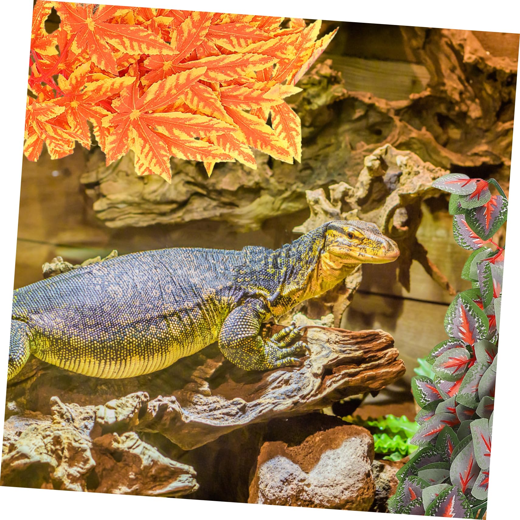 Yardwe 6 Stück Kletterbox Für Haustiere Rattan Realistische Lebensräume Für Reptilien Pflanzen Pflanzenschmuck Künstliche Pflanze Reptilien Reptilienbecken Zubehör